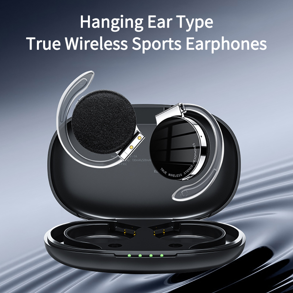 F2 Tws Draadloze Bluetooth Hea - Sports Earphone Hook recensie en prijs